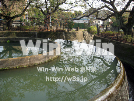 二ヶ領用水（高津区）の写真素材 W-004928