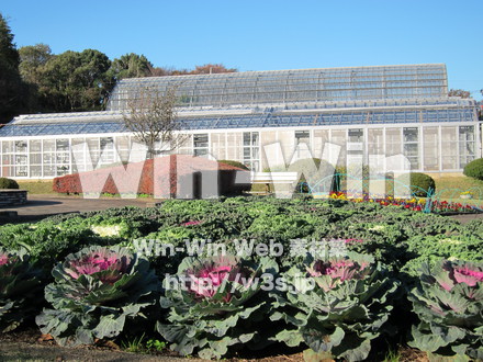 農業支援センター２３の写真素材 W-005855