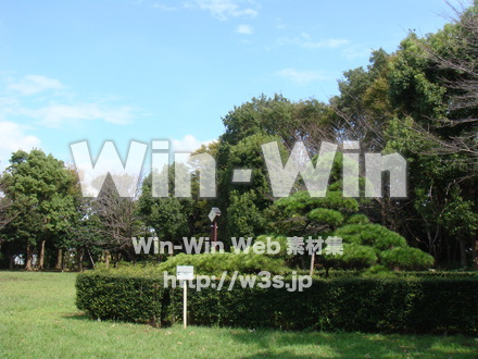 鶴亀松公園3の写真素材 W-005859