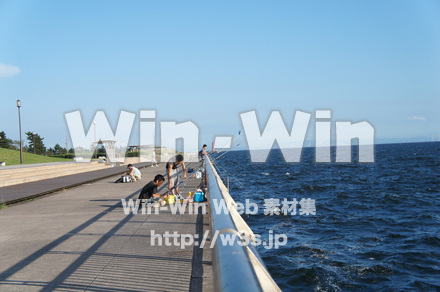 東扇島西公園の写真素材 W-004210