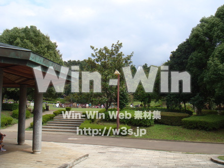 王禅寺ふるさと公園07の写真素材 W-004010