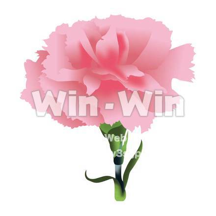 カーネーションのCG・イラスト素材 W-005998