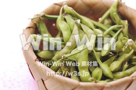 丹波篠山産　えだまめの写真素材 W-004116