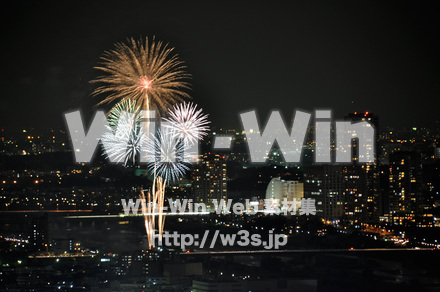 川崎市制記念多摩川花火大会の写真素材 W-005109