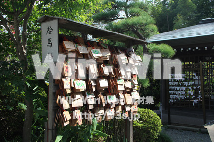 琴平神社_絵馬の写真素材 W-004778