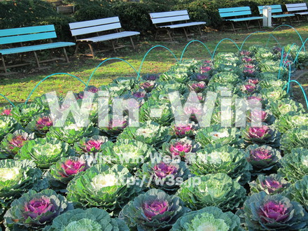 農業支援センター２０の写真素材 W-005852