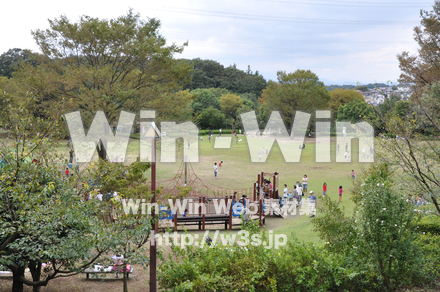 王禅寺ふるさと公園12の写真素材 W-004134