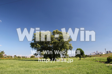 せせらぎ公園-川崎市の写真素材 W-004467