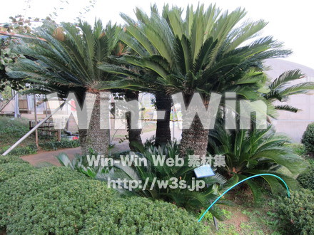 農業支援センター６の写真素材 W-005831