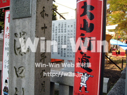 大山街道の写真素材 W-005755