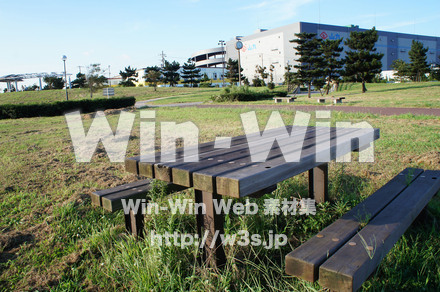 東扇島西公園の写真素材 W-004214