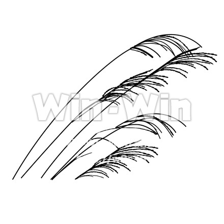 すすきのシルエット素材 W-004891