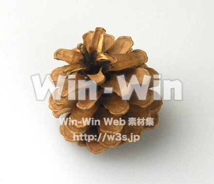 まつぼっくりの写真素材 W-004960