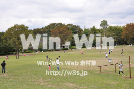 王禅寺ふるさと公園13の写真素材 W-005546