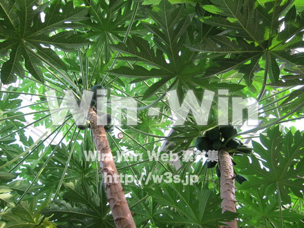 農業支援センター９の写真素材 W-005838