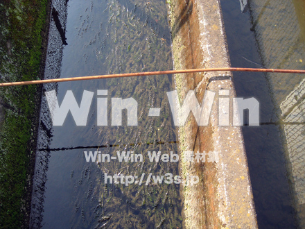 二ヶ領用水（高津区）の写真素材 W-004931