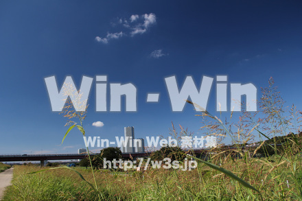 せせらぎ公園-川崎市の写真素材 W-004450