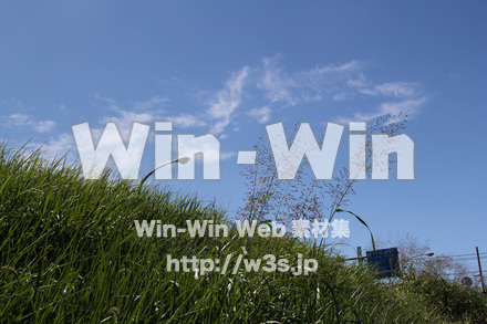 せせらぎ公園へ-川崎市の写真素材 W-004505