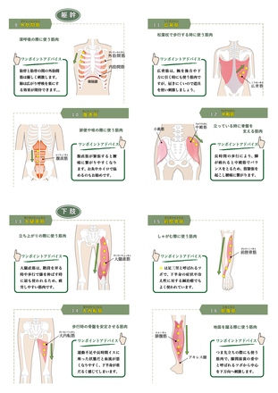 国民の健康と生活を守る会 A5 冊子　P8~P11 D-005837 の冊子・カタログ