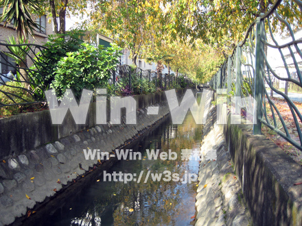 二ヶ領用水（高津区）の写真素材 W-004913