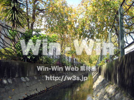 二ヶ領用水（高津区）の写真素材 W-004914