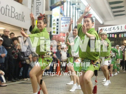 川崎阿波踊りの写真素材 W-005316