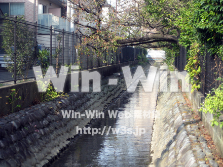 二ヶ領用水（高津区）の写真素材 W-004922