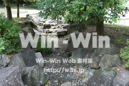 王禅寺ふるさと公園11の写真素材 W-004014