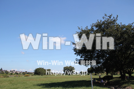 せせらぎ公園-川崎市の写真素材 W-004488