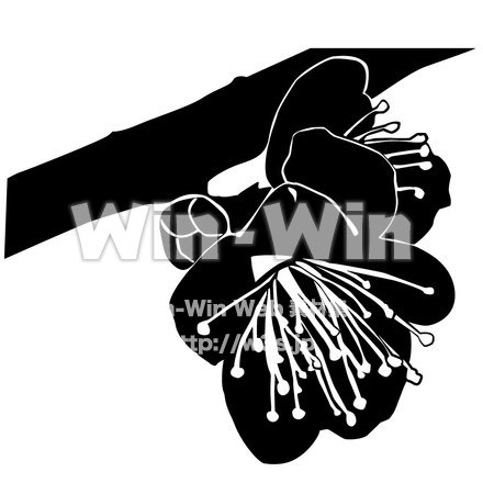 梅のシルエット素材 W-004158