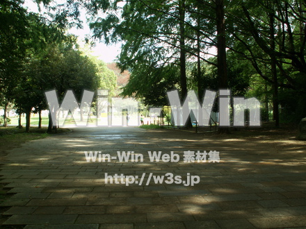 生田緑地の写真素材 W-004836