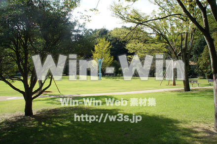 生田緑地の写真素材 W-004825