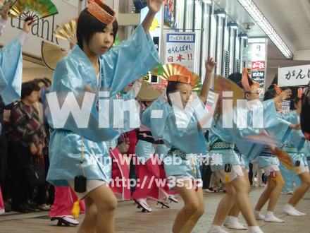 川崎阿波踊りの写真素材 W-005319