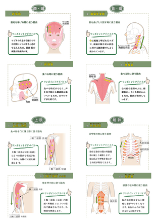 国民の健康と生活を守る会 A5 冊子　P4~P7 D-005838 の冊子・カタログ