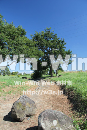 せせらぎ公園-川崎市の写真素材 W-004468