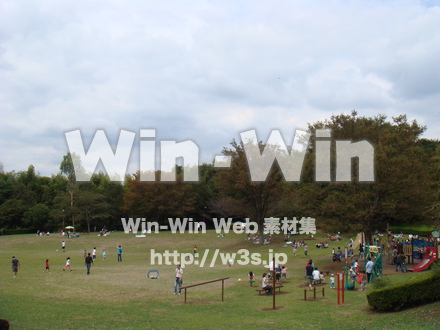 王禅寺ふるさと公園15の写真素材 W-005548