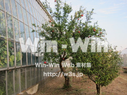 農業支援センター８の写真素材 W-005835