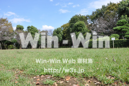 鶴亀松公園1の写真素材 W-005857