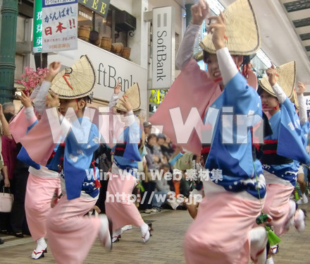 川崎阿波踊りの写真素材 W-005303