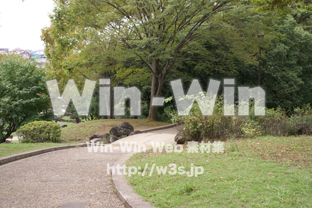 王禅寺ふるさと公園10の写真素材 W-004013