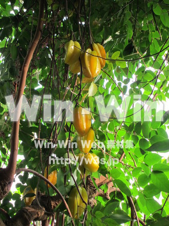 農業支援センター１０の写真素材 W-005840