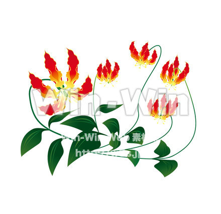 グロリオーサのCG・イラスト素材 W-005758