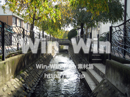 二ヶ領用水（高津区）の写真素材 W-004918