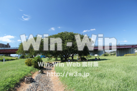 せせらぎ公園-川崎市の写真素材 W-004479