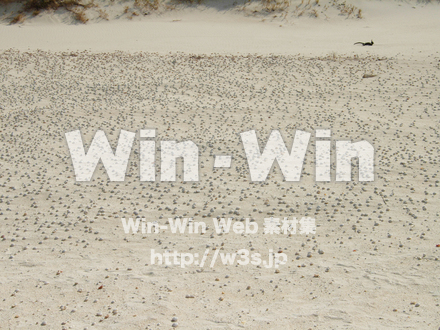 小笠原諸島の写真素材 W-004948