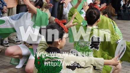 川崎阿波踊りの写真素材 W-005384