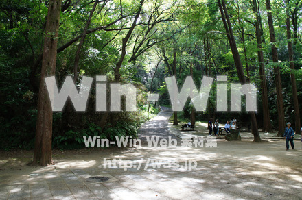 生田緑地の写真素材 W-004824