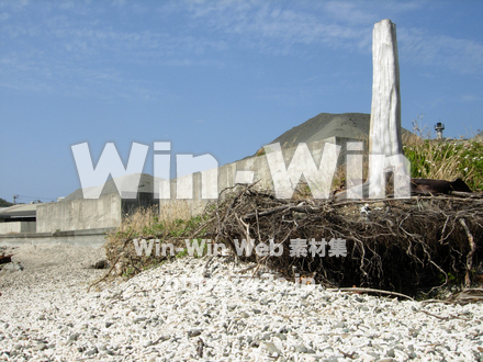 小笠原諸島の写真素材 W-004942