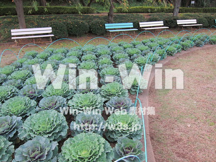 農業支援センター１１の写真素材 W-005841