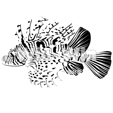 ミノカサゴのシルエット素材 W-004135